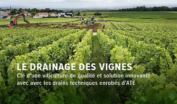 Drainage des vignes